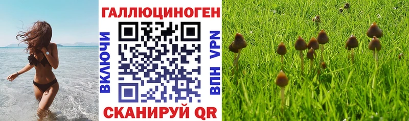 Галлюциногенные грибы мицелий  дарк нет телеграм  Брянск  где купить наркоту 